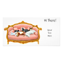 Tarjeta real de la foto de la siesta del gato tarjeta fotográfica