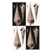 Tarjeta retra del perfil de los Seashells Tarjetas De Visita