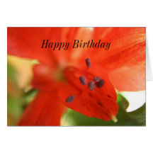 Tarjeta roja del feliz cumpleaños del Alstroemeria