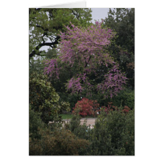 Tarjeta rosada del árbol