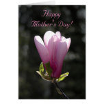 Tarjeta rosada del día de madres de la magnolia