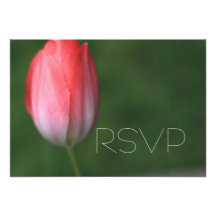 tarjeta rosada del rsvp de la flor del tulipán, ca invitacion personal 