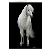 Tarjeta salvaje del caballo blanco