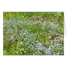 Tarjeta Semana-En blanco del Wildflower