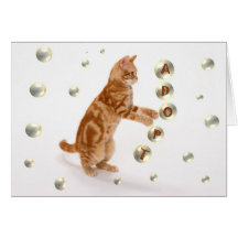 Tarjeta sin hogar del gatito