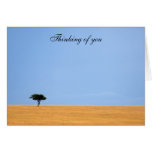 Tarjeta solitaria del árbol