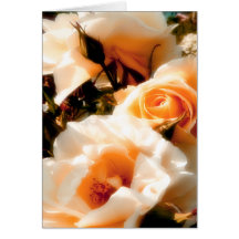 Tarjeta soñadora de los rosas del albaricoque