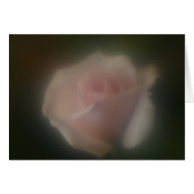 Tarjeta subió rosa suave hermoso de la lente del f