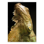 Tarjeta verde de la iguana