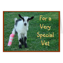 Tarjeta veterinaria - modifique cualquier ocasión 