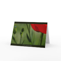 Tarjeta - viviendo en dos mundos tarjetas