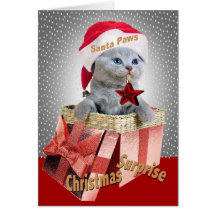 Tarjetas británicas de la sorpresa del navidad del