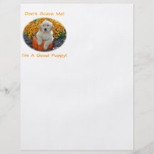 Tarjetas, camisetas y regalos del perrito de Hallo Flyer Personalizado