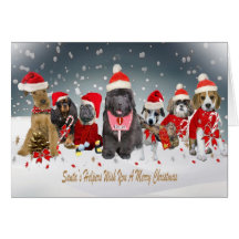 Tarjetas caninas de los ayudantes de Santa