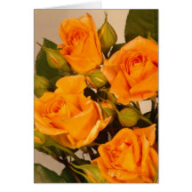 Tarjetas color de rosa de la elegancia