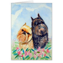 Tarjetas de felicitación de Bruselas Griffon