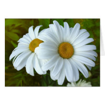 Tarjetas de felicitación de encargo de las flores 