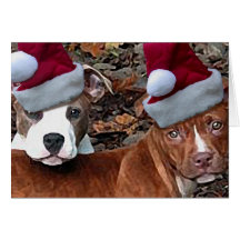 Tarjetas de felicitación de los perritos de Pitbul