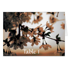 Tarjetas de la tabla del melocotón de la luz suave