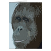 Tarjetas de MonkieLand del orangután