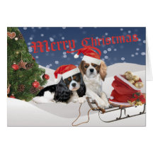 Tarjetas de Navidad arrogantes del perro de aguas 
