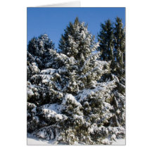Tarjetas de Navidad del paisaje