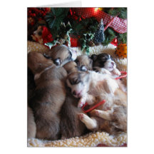 Tarjetas de Navidad del perrito del Corgi de la si