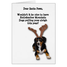 Tarjetas de Navidad del perro de la montaña de Ent