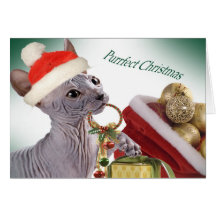 Tarjetas de Navidad sin pelo de Sphynx