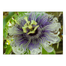 Tarjetas de nota de la impresión del Passionflower