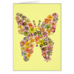 Tarjetas de nota de la mariposa del Daylily