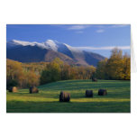 Tarjetas de nota del Mt. Mansfield Vermont