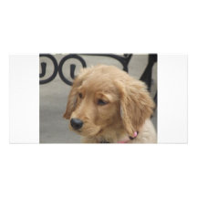 Tarjetas de nota del perrito de Brokentoptop Golde Tarjetas Con Fotos Personalizadas
