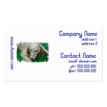 Tarjetas de visita adorables del organismo inglés