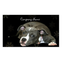 Tarjetas de visita azules del perrito de Pitbull
