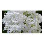 Tarjetas de visita blancas de los Hydrangeas