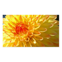 Tarjetas de visita brillantes del amarillo anaranj