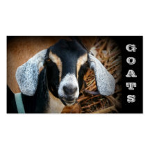 Tarjetas de visita de la granja de la cabra
