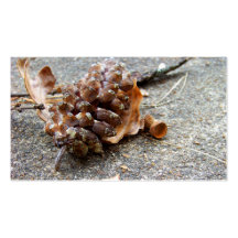 Tarjetas de visita de las sobras del otoño