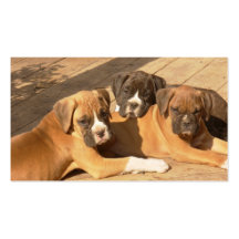 Tarjetas de visita de los perritos del boxeador