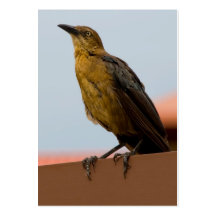 Tarjetas de visita de oro del pájaro