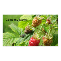 Tarjetas de visita de Raspberries Company