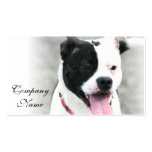 Tarjetas de visita de Staffordshire Terrier