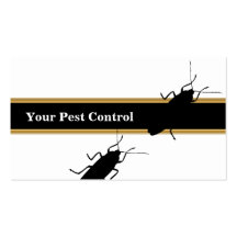 Tarjetas de visita del control de parásito