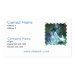 Frente