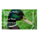 Tarjetas de visita del pato silvestre