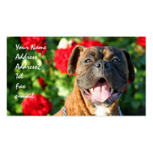 Tarjetas de visita del perro del boxeador