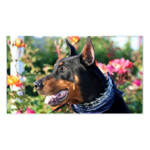 Tarjetas de visita del Pinscher del Doberman