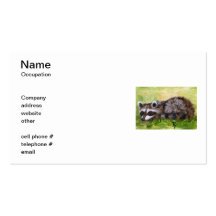 Tarjetas de visita del Racoon del aceo del bribón