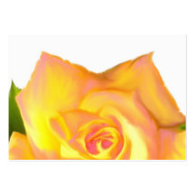 Tarjetas de visita del rosa amarillo